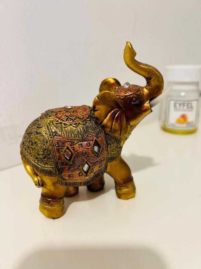 布拉索夫House51公寓 外观 照片